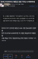 내가 베스트에서 우크라 욕해달라는 글들 올라오면 일단 의심부터 하는 이유