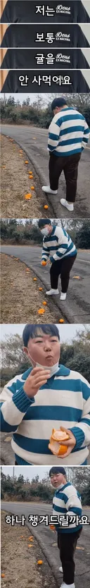 제주도민이 귤을 사먹는다는 의미