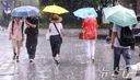 제주·남부 이어 중부도 장마…제주 반나절 155.5㎜, 오늘 120㎜ 더