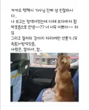 차별 심각한 카카오 펫택시