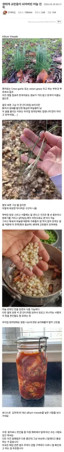 한국인에게 잘못 걸린 생태계 교란종