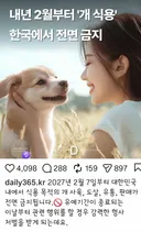 개 좋아하시는 분들 비극적소식