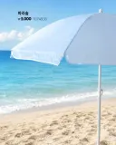 다이소 근황