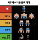 키우기 어려운 근육 티어