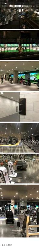 요즘 아파트 헬스장 클라스