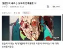 사펑) '안' 죽을 것 같아 불안한 캐릭터