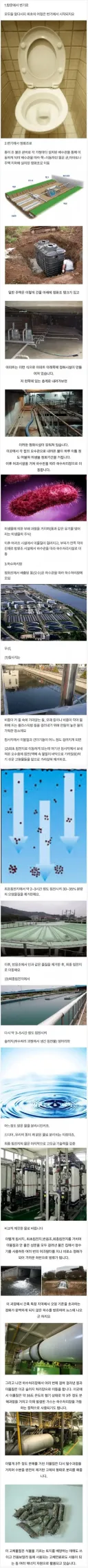 버려진 똥의 여정