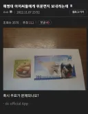 무시무시한 군 위문 편지 테러 사건 ㄷㄷ;;