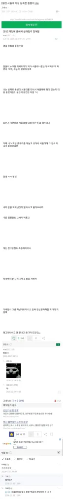 서울대 사칭 능욕한 징빙이.jpg