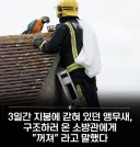3일간 지붕에 갇혀있던 앵무새의 한마디.jpg