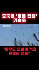 중국의 로봇 전쟁