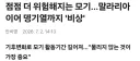 모기가 점점 위험해지는데 어떻게 대처하나요?