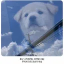 창문 사진을 찍었는데...