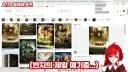 버튜버) 판/자지의 시작