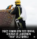 3일간 지붕에 갇혀있던 앵무새, 구조하러 온 소방관에게