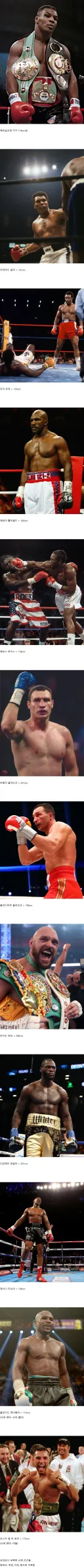 마이크 타이슨이 가지고 있던 약점