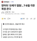 장마뒤 ‘오메가 열돔’… 7·8월 극한폭염 온다
