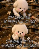 업무 인수인계는 잘 이루어지고 있나요?