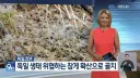 도대체 뭐가 문제라는거지??