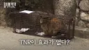 [지식의 발견] 성역이 되어버린 '길고양이'의 실체
