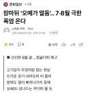 한반도 40도 역대급 무더위 온다.news