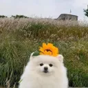 천천히 스크롤해서 내려보세요