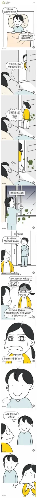 환자에게 잘자가스 발사한 간호사