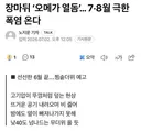 한반도 40도 넘나드는 폭염 온다.news