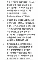 한때 화제였던 '빠따 든 이대호 100명vs화난 아프리카 코끼리'.gemini