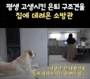 퇴사했는데 직장상사랑 동거하게 된 사연