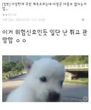 주식)지금 국장 오르는게 위험 신호인 이유