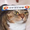 주식) 이번 하락장에 손실 피한 노하우 알려줌