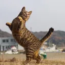 오늘 방송 와주셔서 감사합니다