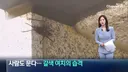 현재) 난리난 갈색여치가 창궐하는 이유 ㄷㄷ.jpg