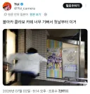 콜라보 카페가 너무 좋았던 사람