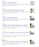 고양시 마스코트 고양고양이 근황.