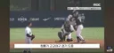 배재고 선처 호소