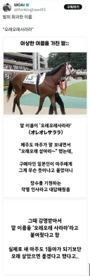 ?? 어케 말 이름이 오레오레사라라