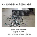 서버 담당자가 보면 혼절하는 사진