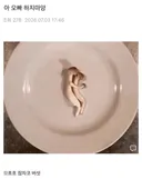아 오빠 하지마앙