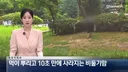 [뉴스] '유해동물 지정' 비둘기에게 밥 주는 비둘기맘 쫓아가봤습니다 ㅋㅋㅋ