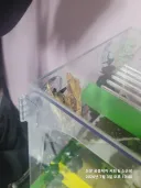 반려동물 짤은 최소 10장이지?