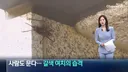 러브버그 다음 타자...jpg