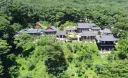 이번에 새로 발견된 신라 금석문 근황.news