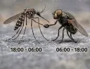 여름 2교대 근무 투탑