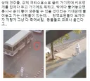코로나때 제일 얄미운 놈들