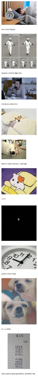 직장인들 일요일 주말 현타올때.jpg