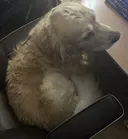 ㄹㅇ 귀엽잖아?