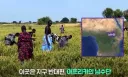 한국 쌀 재배 1티어 국가