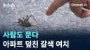 한반도 여름 업데이트 소식을 전해드립니다.